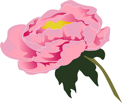 pion design flower illustration print spring vector