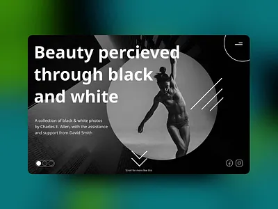 Homepage Photography Slideshow abstract adobe after effect animal animation app architecture art black creative cute design figma design minimal motion design motiongraphics typography ui ux web