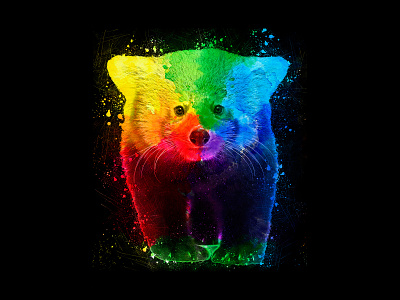 Colorful Bear | Animal Art Design animal art branding design digital gif graphic design illustration
