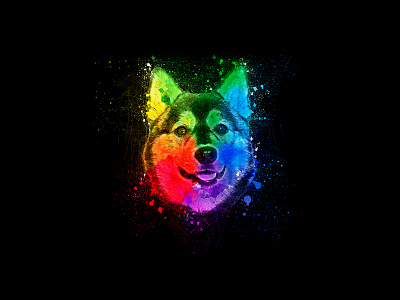 Colorful Dog | Animal Art Design paint a colorful pet portrait