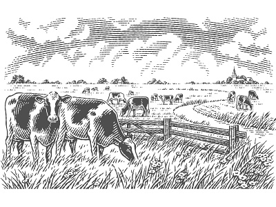 Landscape for «Hutten Beef» black and white branding engraving etch etched etching graphics illustration pen and ink scratchboarding vector engraving woodcut