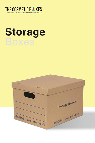 “Storage Boxes” - A Packaging Option With Unusual Features