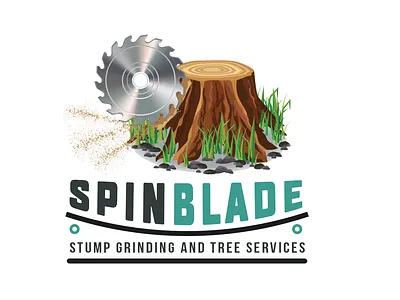 Spin Blade animation branding business logo design design iconic iconic icon iconic logo identity design illustration illustrator logo design logodesign logos logotype ui web logo
