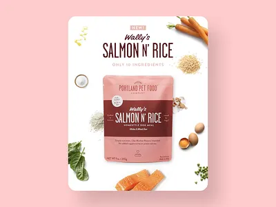 Dog Food Social Ad ad ads dog food facebook ad food ad ingredients instagram post marketing motion motions graphics salmon social ad social media social media graphic
