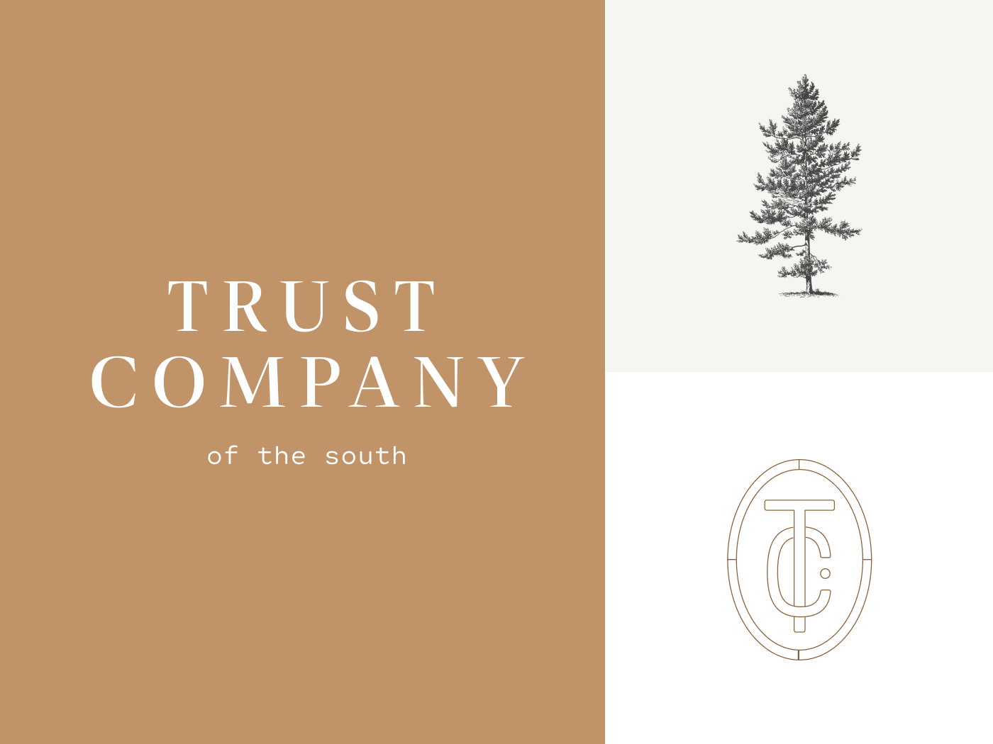 branding-and-logo-design-for-financial-advisor-by-charlee-walker