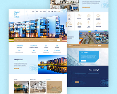 Web design: Blue City Center design web web design