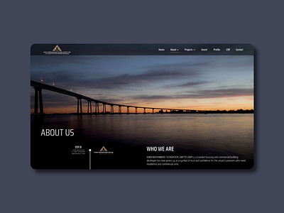 Amin Mohammad Group About Us Landing adobe adobexd design ui ux
