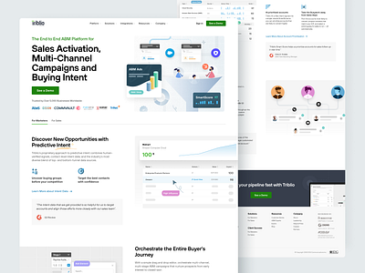 Triblio - Marketing Site campaign canvas data design home page homepage illustration landing landing page landingpage marketing page sales ui web design web page web site webdesign webpage website