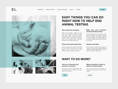 Fight Cruelty Info page pt.2 concept design concept figma figmadesign kyiv ui uidesign uiux ukraine web web design web page webdesign website