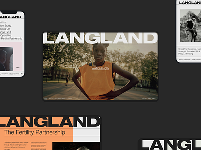 LANGLAND agency agency website design toyfight ui ux website