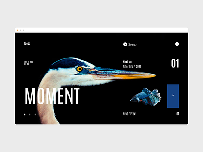 Moment bird black blue figma fish homework idea illusion inspiration minimalism moment player predator redesign redesign concept shot simplicity ui ux white