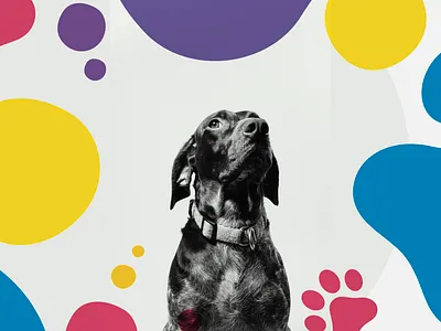 Benni & Co dog doodle packaging puppy