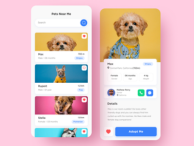 UI design - Puppy adoption app animal app design colors design dogs illustration interface ios ios design minimal pet pet adoption puppy typography ui ux