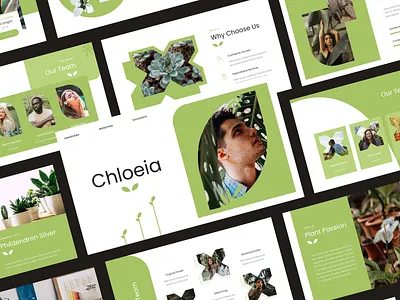 Chloeia – Botanic & Garden Google Slides Template botanical garden green houseplant leaf monstera nature plant pot tree