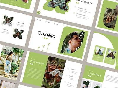 Chloeia – Botanic & Garden PowerPoint Template botanical garden green houseplant leaf monstera nature plant pot tree
