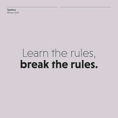 Learn the rules, break the rules: Niveau Serif branding design font fonts geometric hvd logo serif type typedesign typeface typo typographic typography