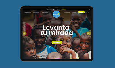 Cesal NGO interface spain ui web webdesign