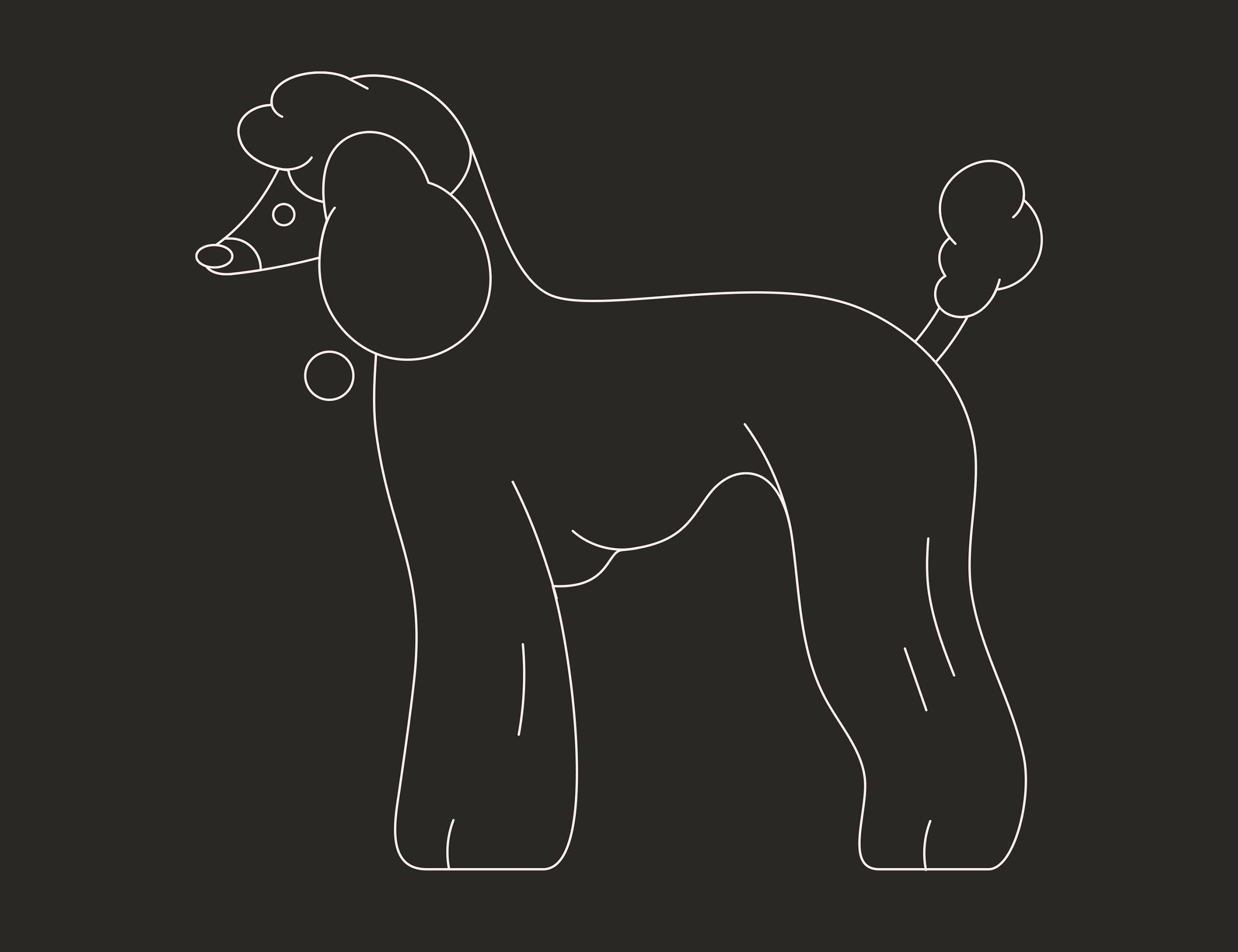 Poodle Line / 2D / 3D 2d 3d animal black and white clean cute dog drawing flat gradient illustration line art minimal pet poodle process sketch texture transformation vector