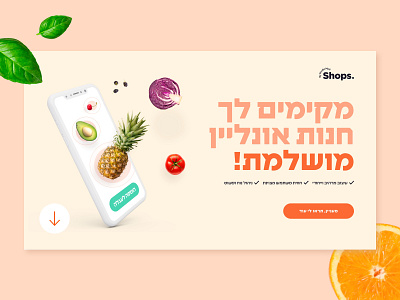 Mozi Shop Minisite branding design logo ui web