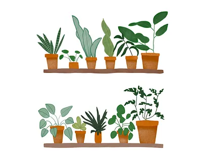Plant Life design illustration minimal plants