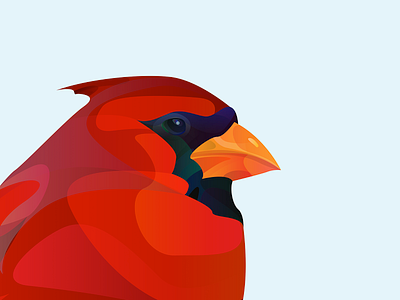 Cardinal design illustration