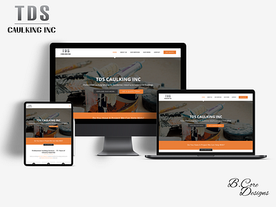 TDS Caulkings Inc. adobe photoshop branding design dribbble photoshop portfolio responsive simple sketchapp web design website website design websites wordpress