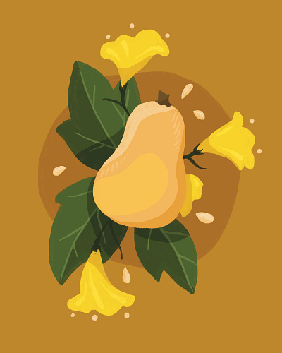 Butternut squash cute digital illustration food food illustration illustration organic squash vegetable vegetable illustration