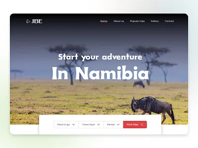 Travel Website IU Design app dashboard ui design minimal ui ux web website website design websites