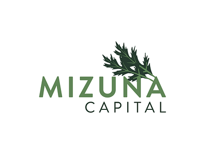 Mizuna Capital Branding branding clean design design graphic design green investment marketing agency