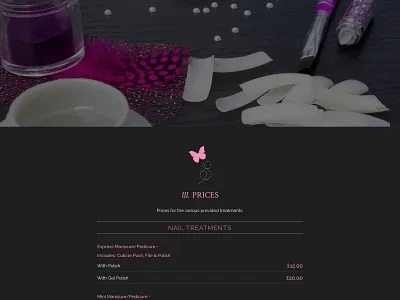 Beauty Salon Website Design web design webdesign