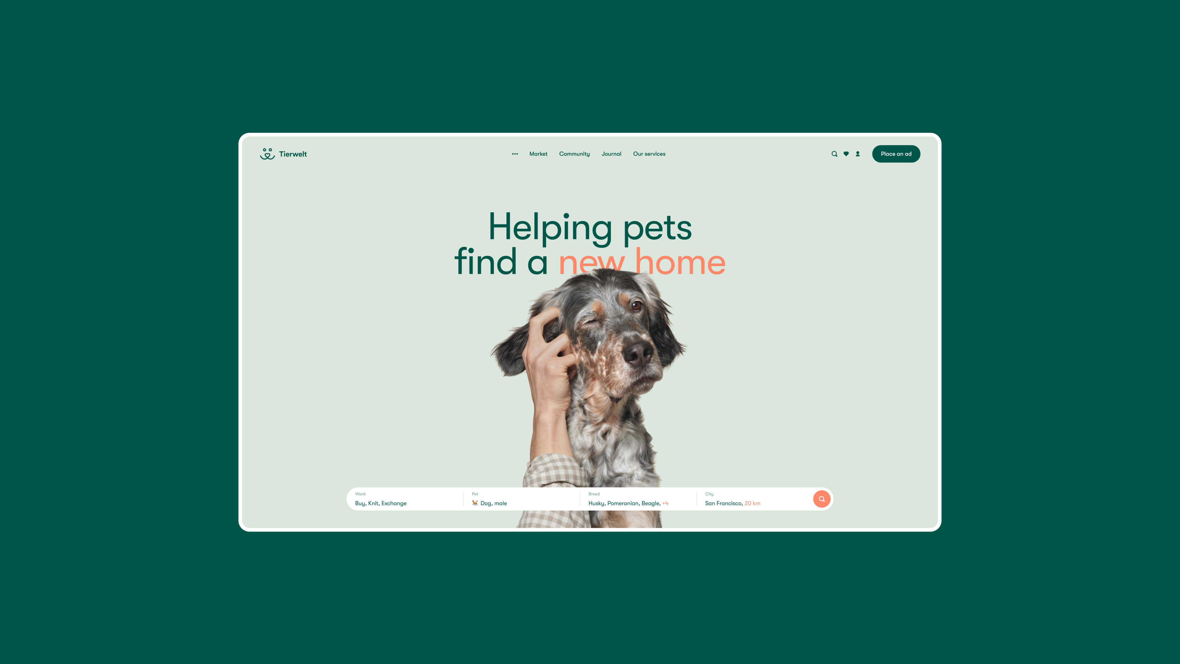 Tierwelt - Website Concept Shot design figma ui ux web design