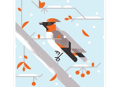Japanese Waxwing audubon berry bird branch character design fly illustration orange snow texture tree vector waxwing wing