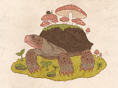 Forest Creature 03 childrensbookillustration fantasy forest illustration mushroom turtle