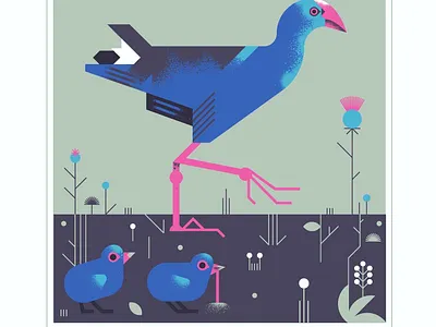 African Swamp-hen animal bird blue chicks design fly geometric illustration pink texture vector