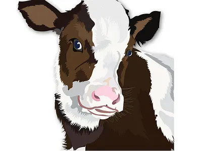 Cow Illustration animal illustration animal vector graphic design illustration illustration design vector art vector illustration