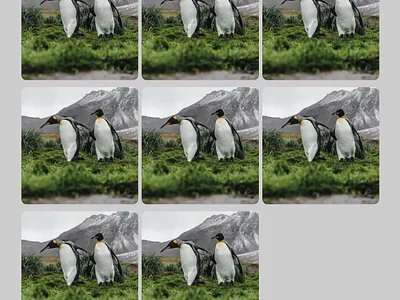 Filterable Masonary Layout Gallery css dribbbleweeklywarmup filtering gallery html html css layout ui uidesign web design