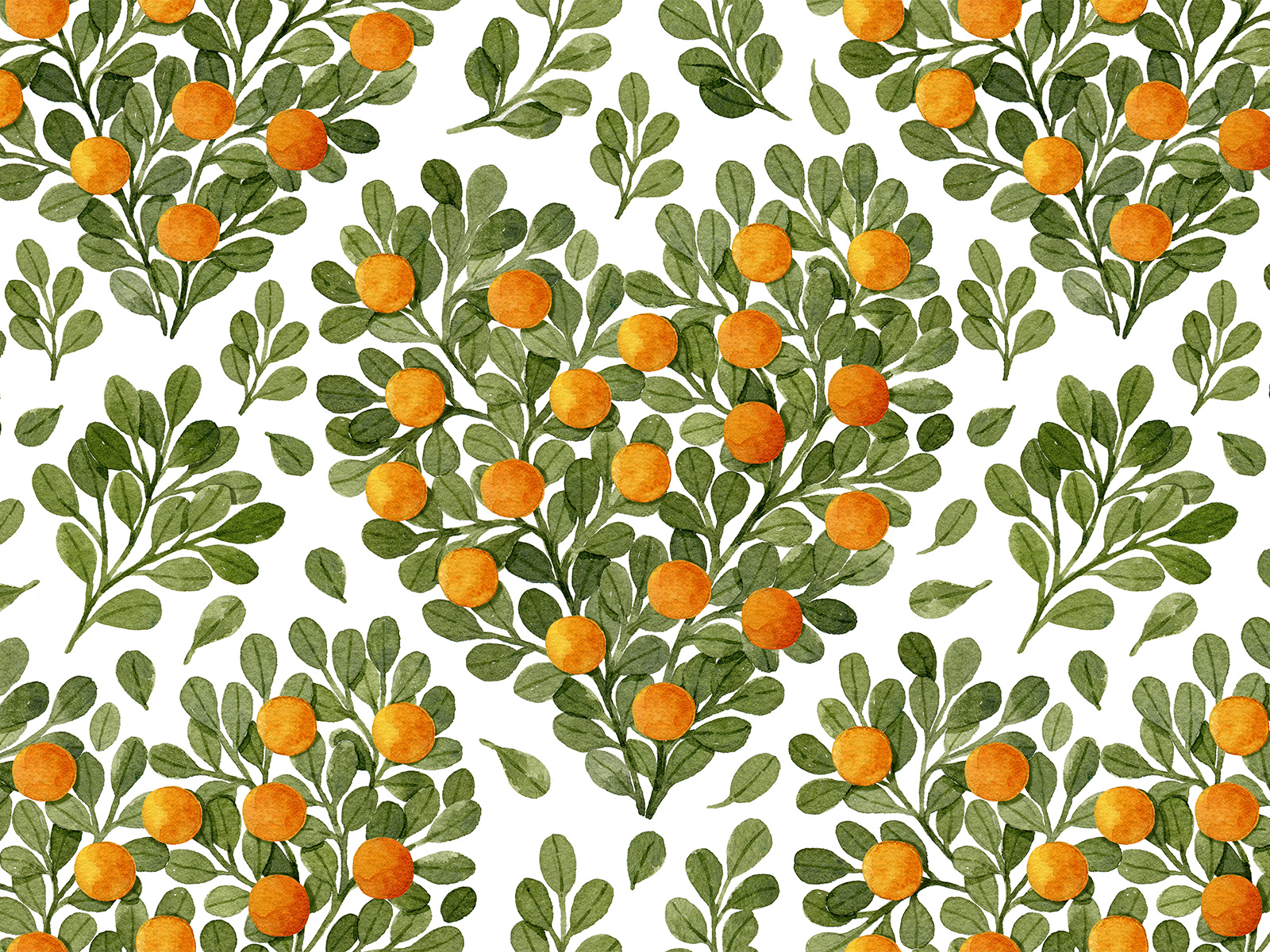 Example of Oranges and green leaves in shape of heart