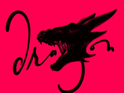Dragon dragon hand drawn hand lettering illustration lettering type type art zodiac