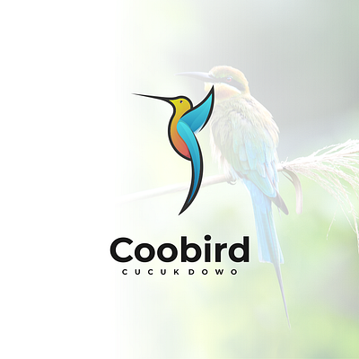 coobird branding corporate branding design illustration lettering logo logo design logodesign logotype vector