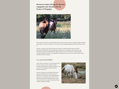 Horse breeding | Breeding section breeding design desktop design figma graphic design horse horse breeding html template layout design minimal stud farm theme design ui web website website design wordpress design wordpress theme