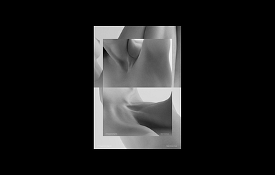 Impermanence Photography branding design motion design photography typography ui ux web web design website