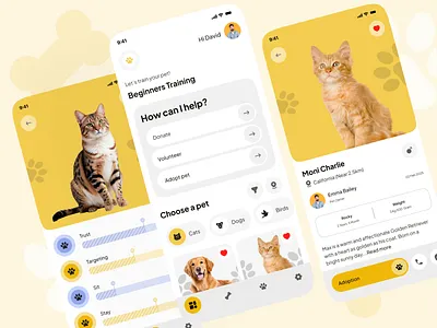 Pet Adoption Mobile App adoption animalcare animallovers cat dogs mobile mobile app pet adoption pet care pet food petazy pethealth petshop uidesign ux uxui veterinary