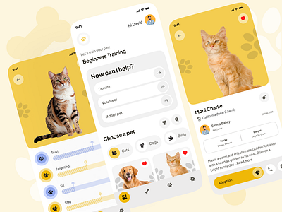 Pet Adoption Mobile App adoption animalcare animallovers cat dogs mobile mobile app pet adoption pet care pet food petazy pethealth petshop uidesign ux uxui veterinary