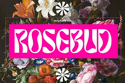 TAN ROSEBUD FONT 60s font 70s font 70s retro groovy font groovy retro font modern font psychedelic font quirky font quirky letters retro font tan rosebud font vintage font