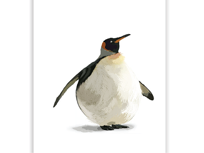 penguin No2 animals design illustration illustrator vector