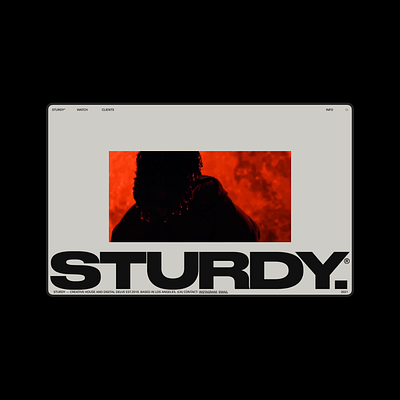 STURDY.CO HOME design gif grid hero home motion portfolio typography ui website