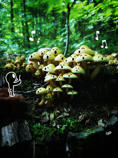 Forest Orchestra character design creepy cute female artist forest illustration mushroom mushrooms naive naive art naive style orchestra photography pictures procreate procreate art shroom shrooms sing singing
