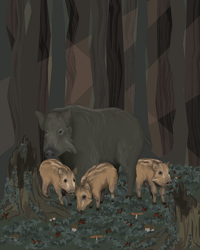 Wild boar family animal illustration animals digital illustration family graphic art illustration nature illustration piglet protection realism vector wild animals wild boar wildlife woods