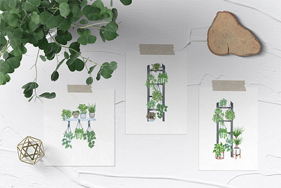 HousePlants Watercolor Illustrations design gardening household houseplant illustration plant illustration typography watercolor