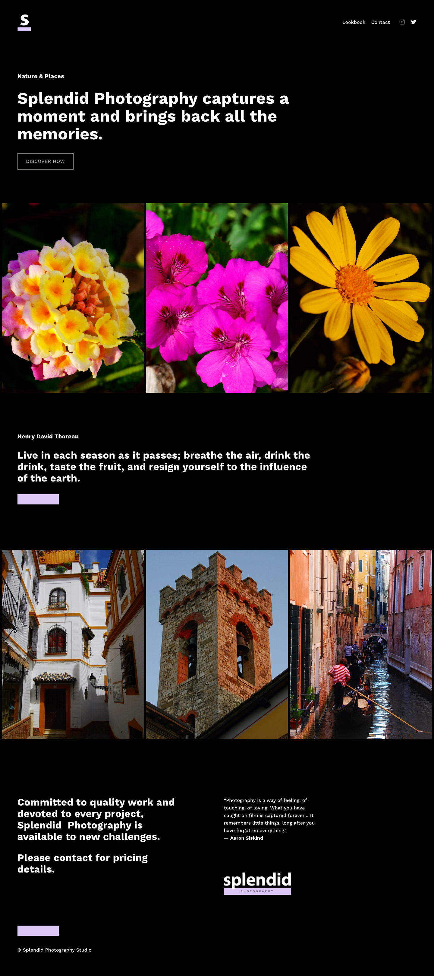 squarespace website design graphic design photoshop squarespace